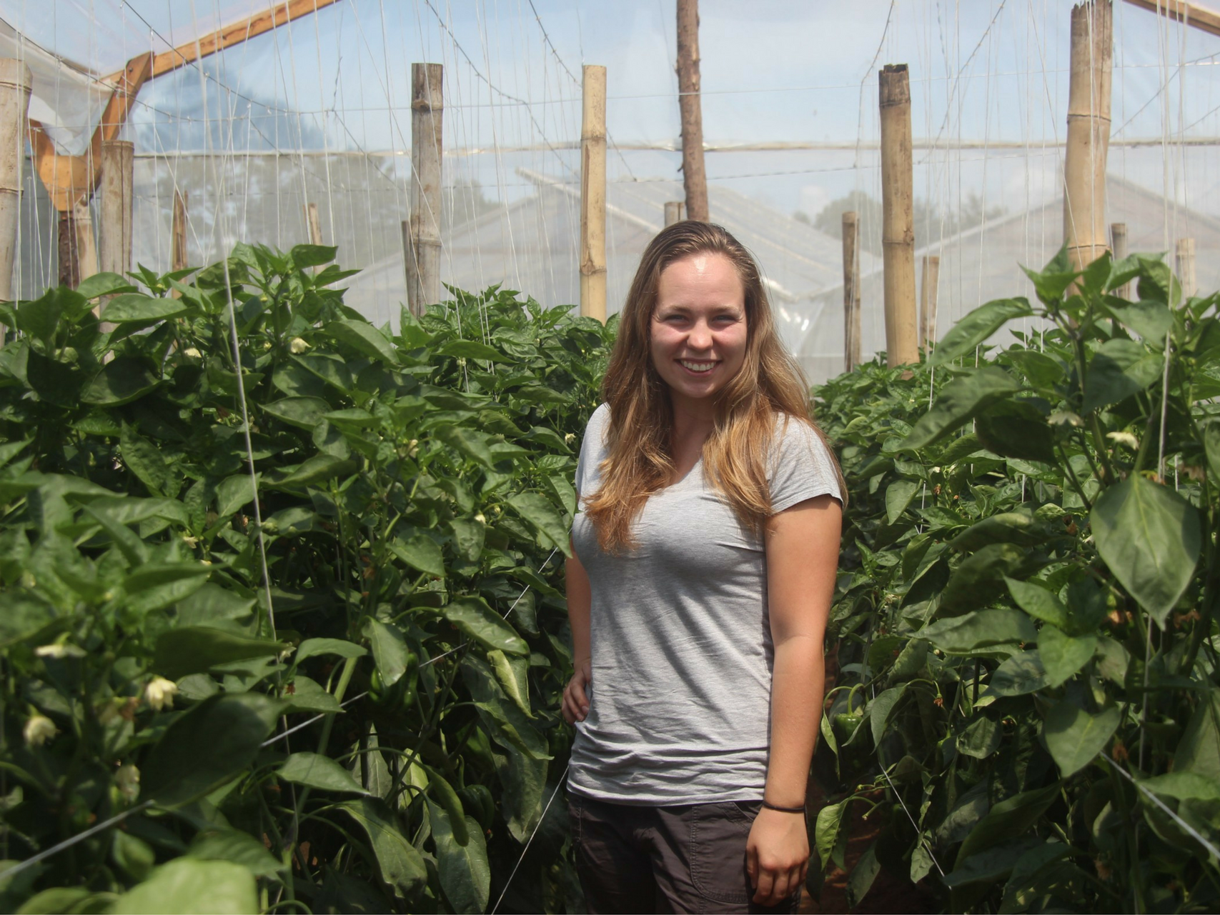Agriculture internship in Guatemala
