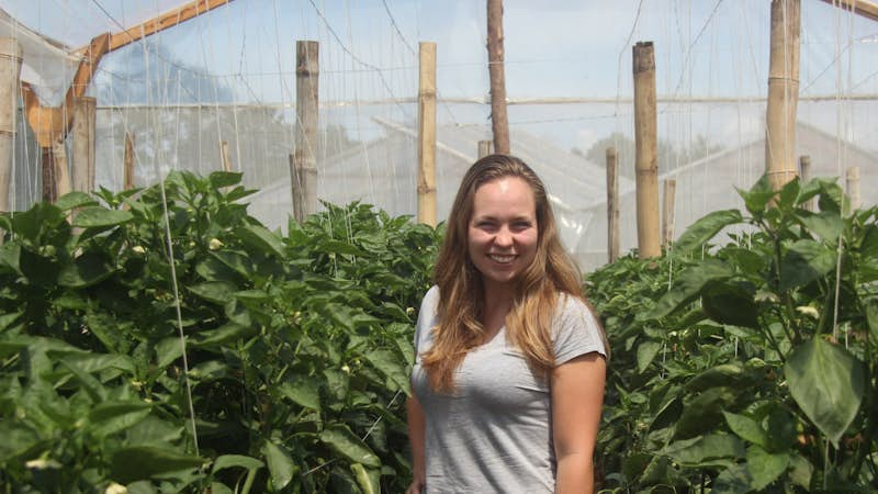 Agriculture internship in Guatemala