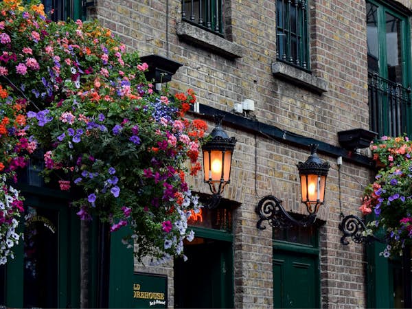 Brick building and flowers in Dublin Ireland