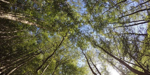 Environmental Conservation & Ecology internships in Italy