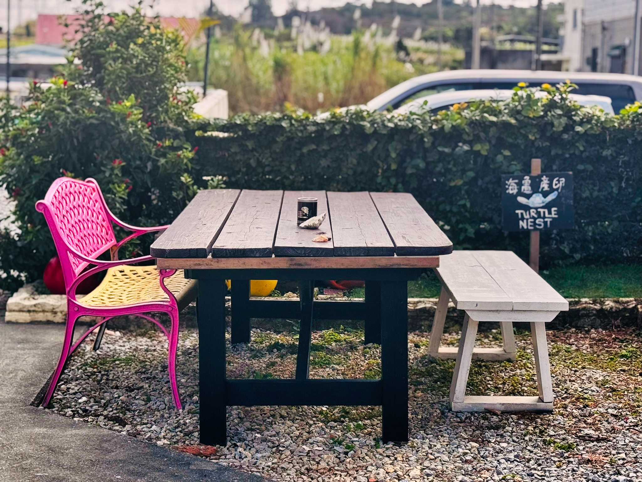 Sea Turtle Conservation internship accommodation, Okinawa, Japan, Intern Abroad HQ