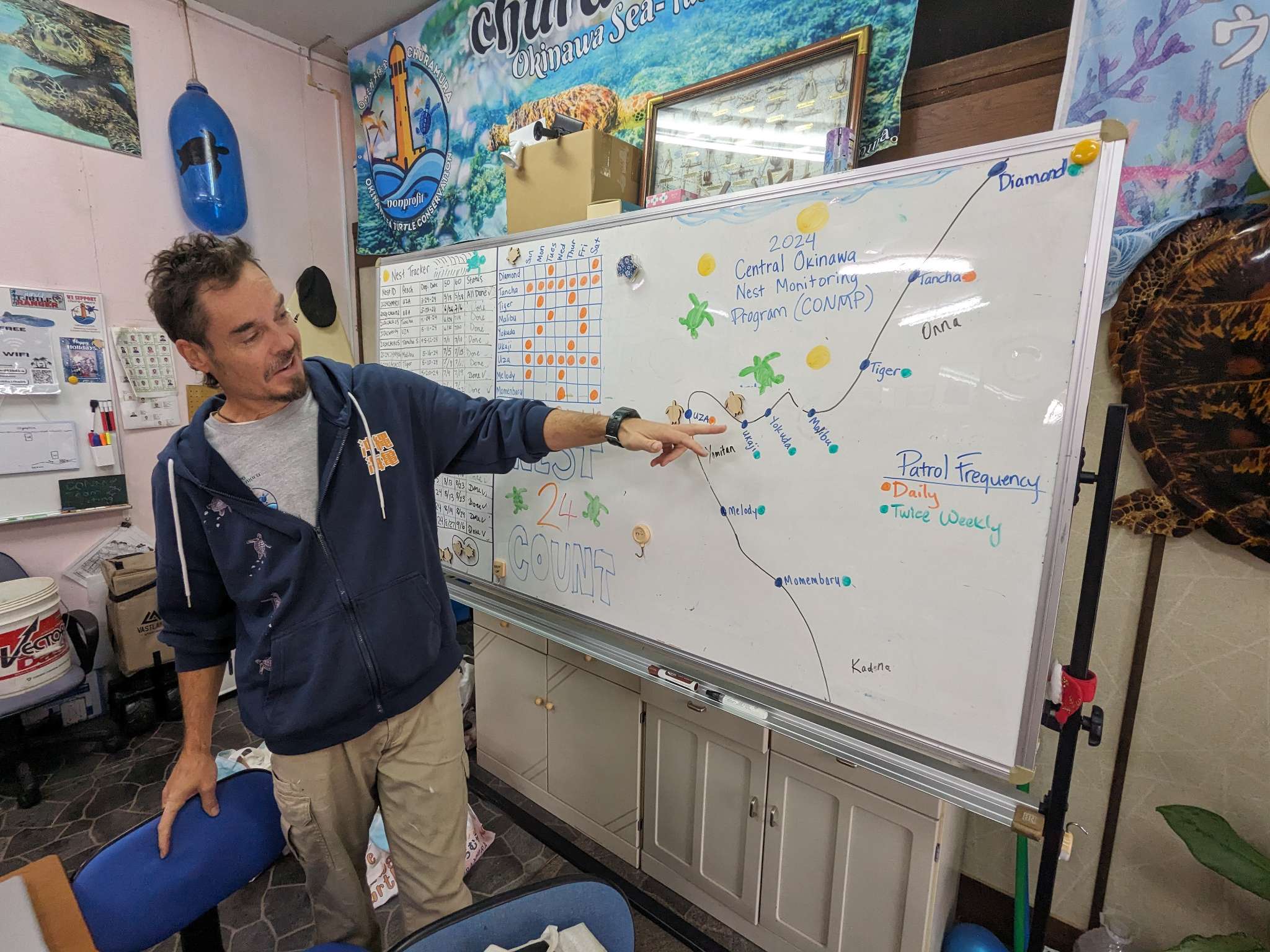 Sea Turtle Conservation internship abroad, Okinawa, Japan, Intern Abroad HQ