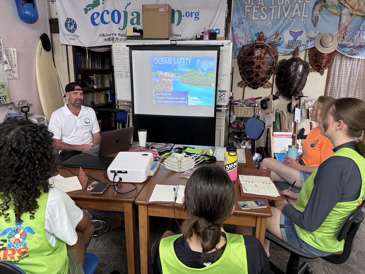 Sea Turtle Conservation internship abroad, Okinawa, Japan, Intern Abroad HQ