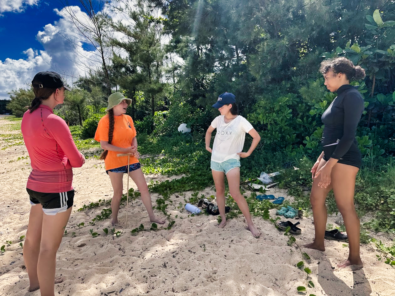 Sea Turtle Conservation internship abroad, Okinawa, Japan, Intern Abroad HQ