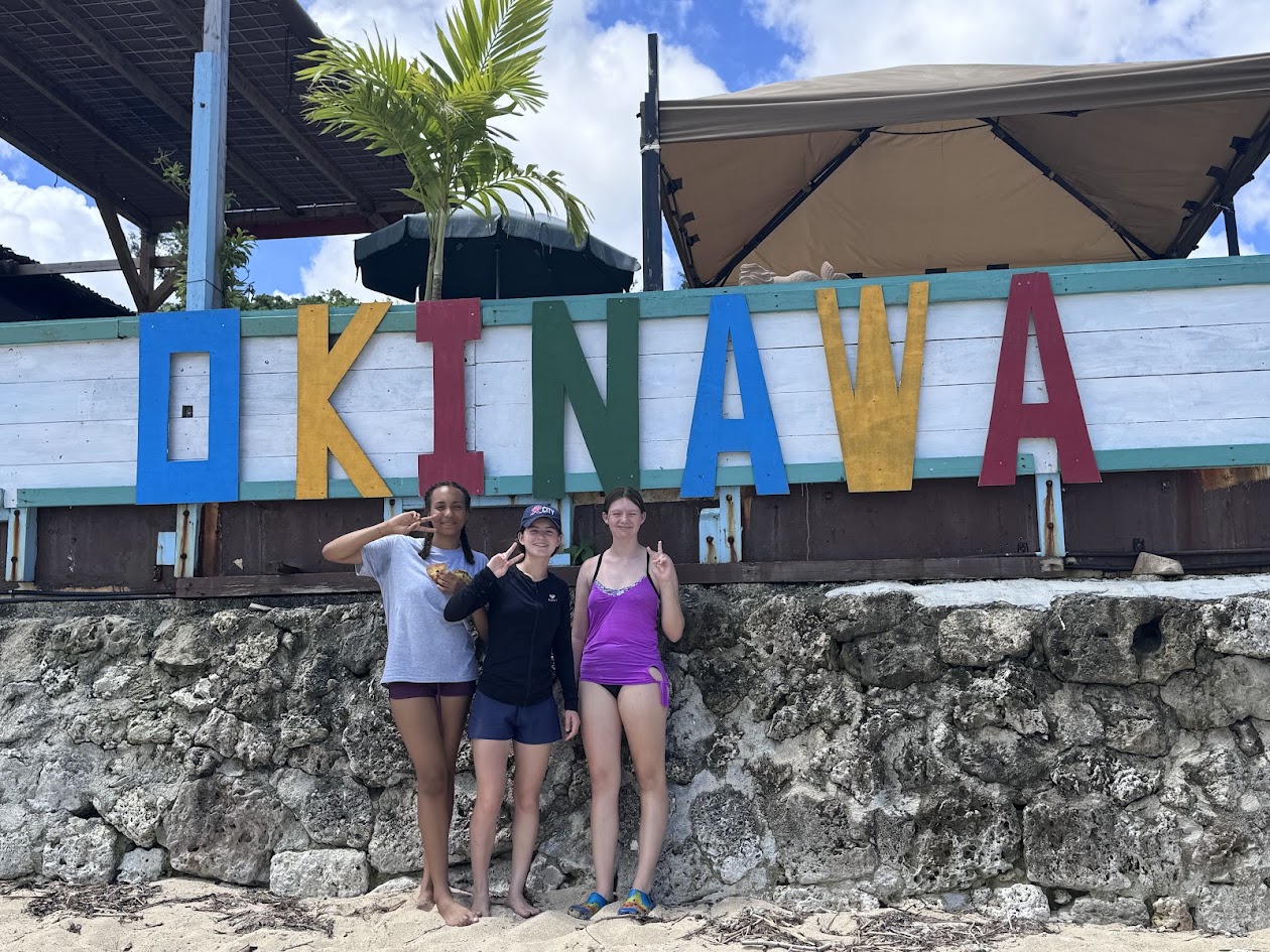 Sea Turtle Conservation internship abroad, Okinawa, Japan, Intern Abroad HQ