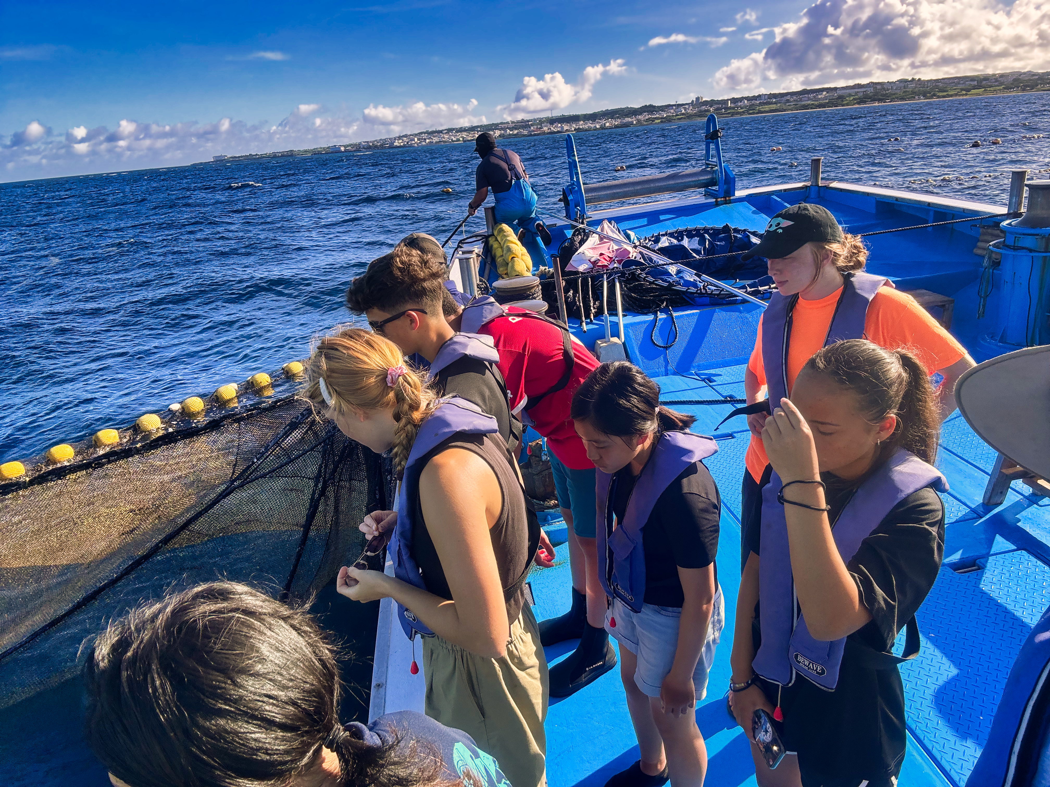 Sea Turtle Conservation internship abroad, Okinawa, Japan, Intern Abroad HQ