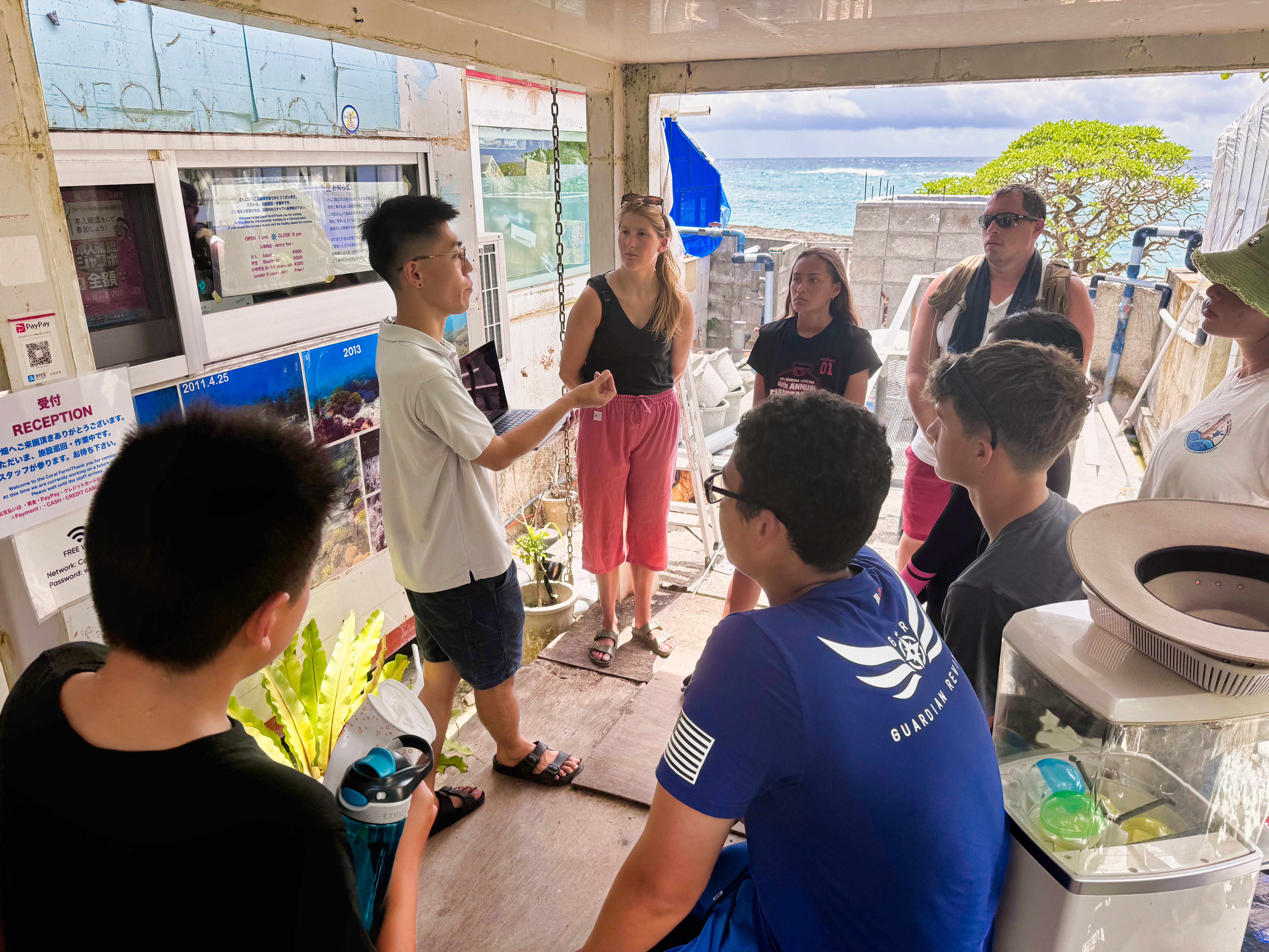 Sea Turtle Conservation internship abroad, Okinawa, Japan, Intern Abroad HQ