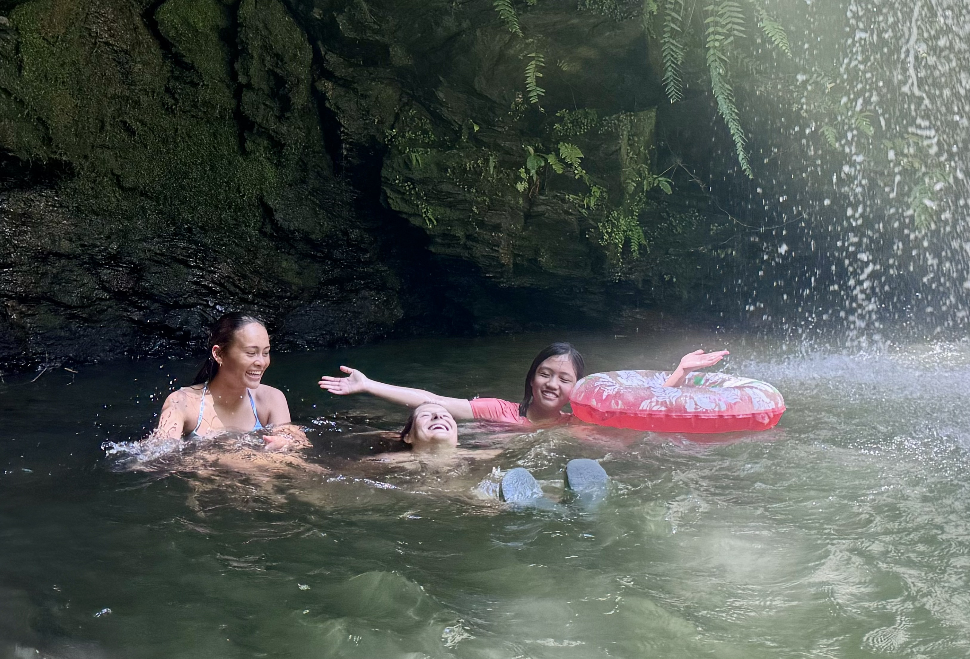 Sea Turtle Conservation internship abroad, Okinawa, Japan, Intern Abroad HQ