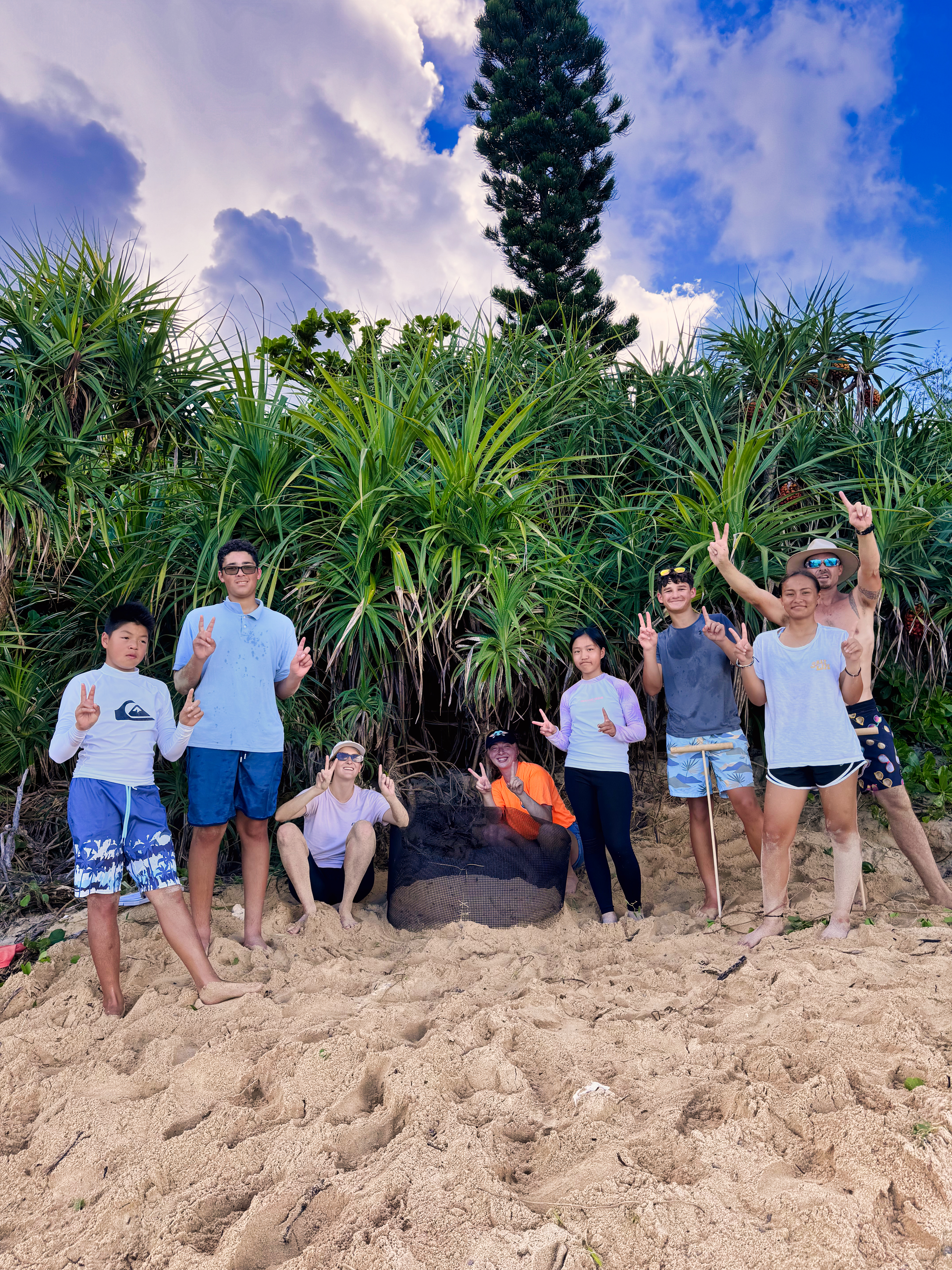 Sea Turtle Conservation internship abroad, Okinawa, Japan, Intern Abroad HQ