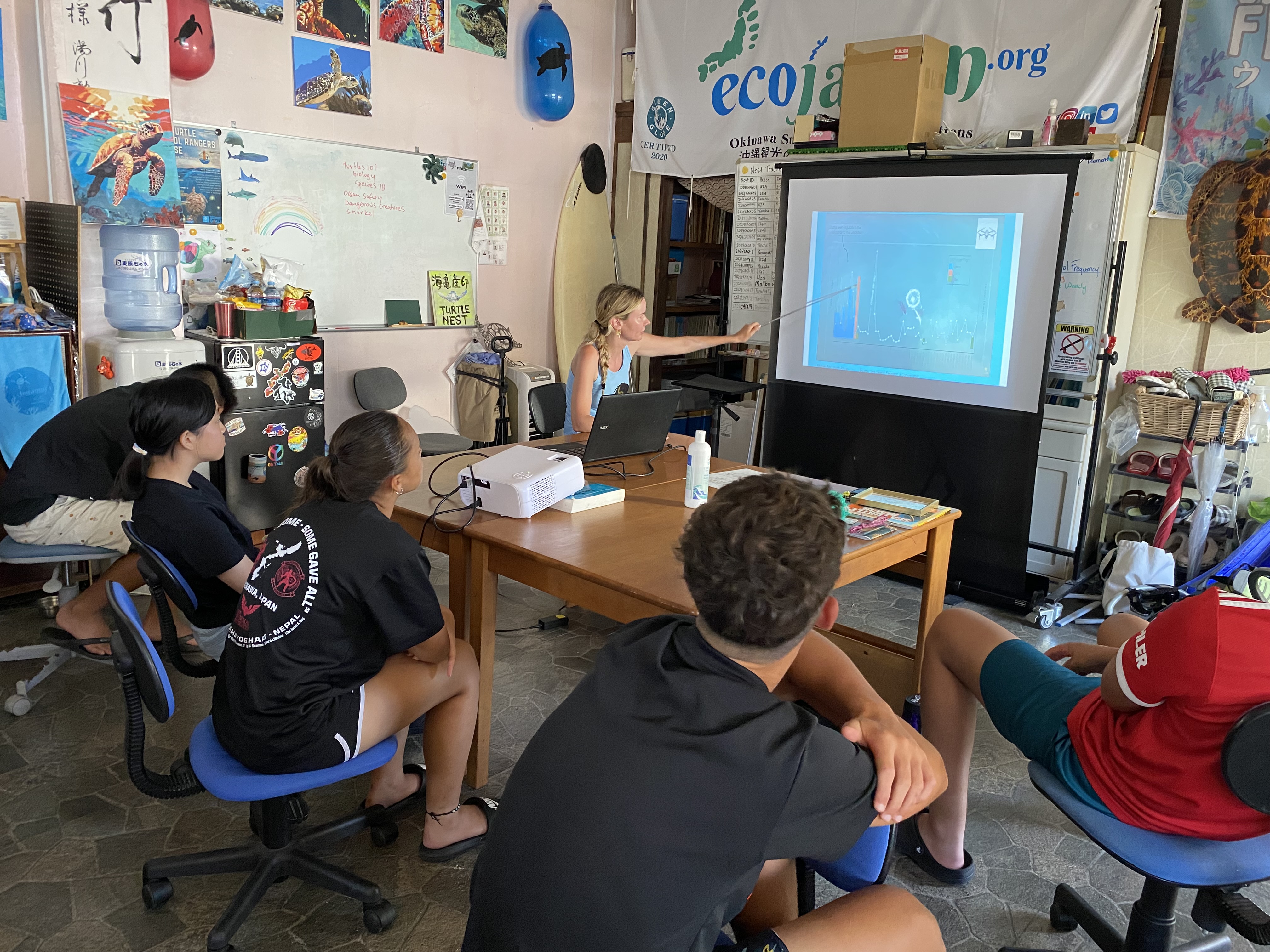 Sea Turtle Conservation internship abroad, Okinawa, Japan, Intern Abroad HQ