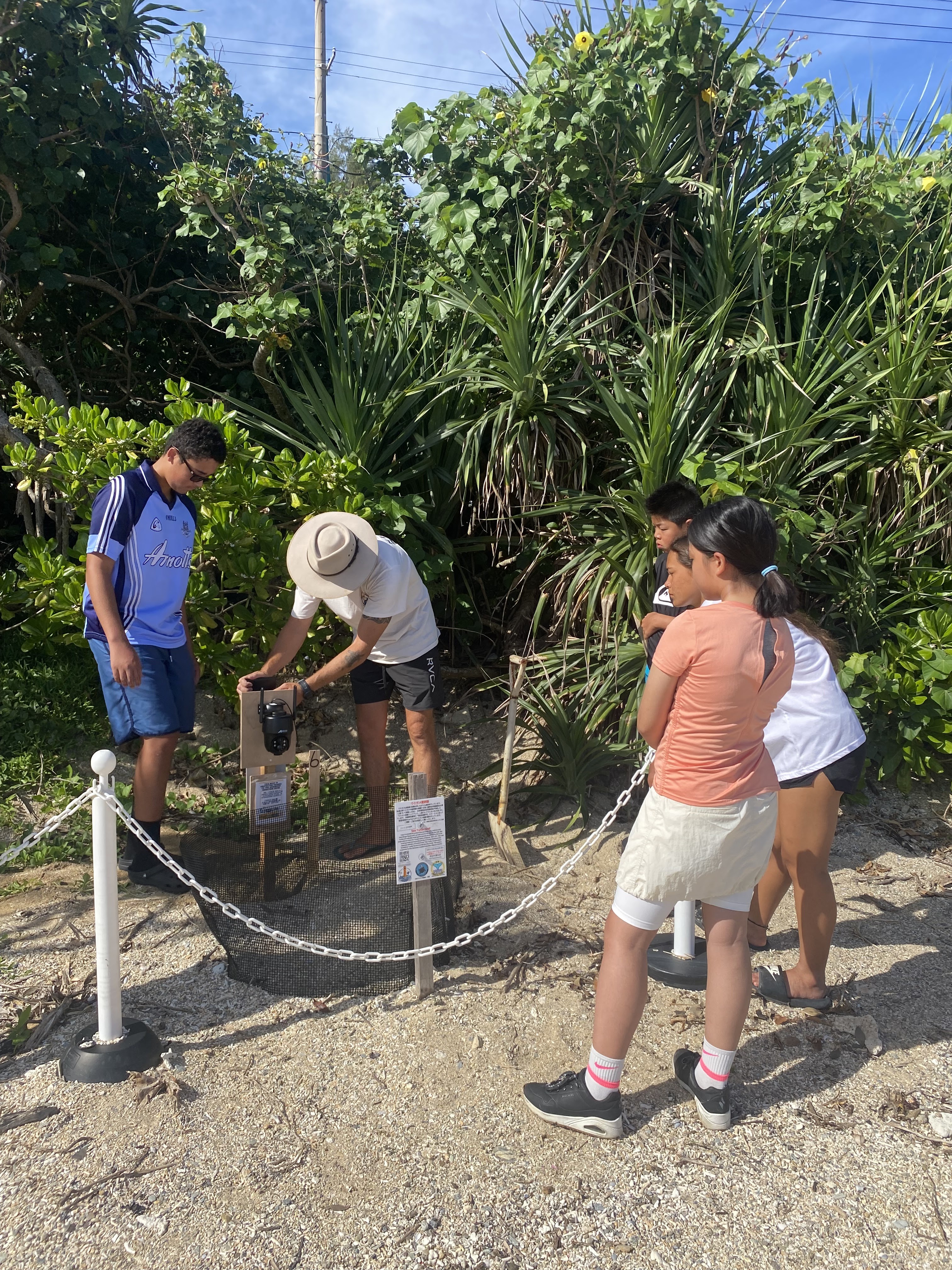 Sea Turtle Conservation internship abroad, Okinawa, Japan, Intern Abroad HQ