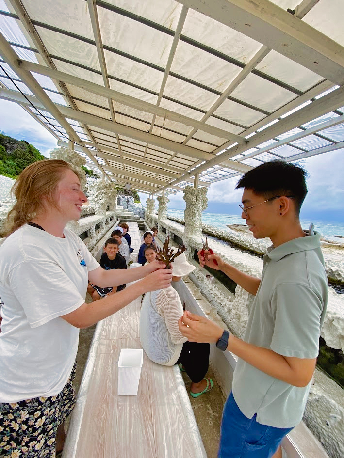 Sea Turtle Conservation internship abroad, Okinawa, Japan, Intern Abroad HQ
