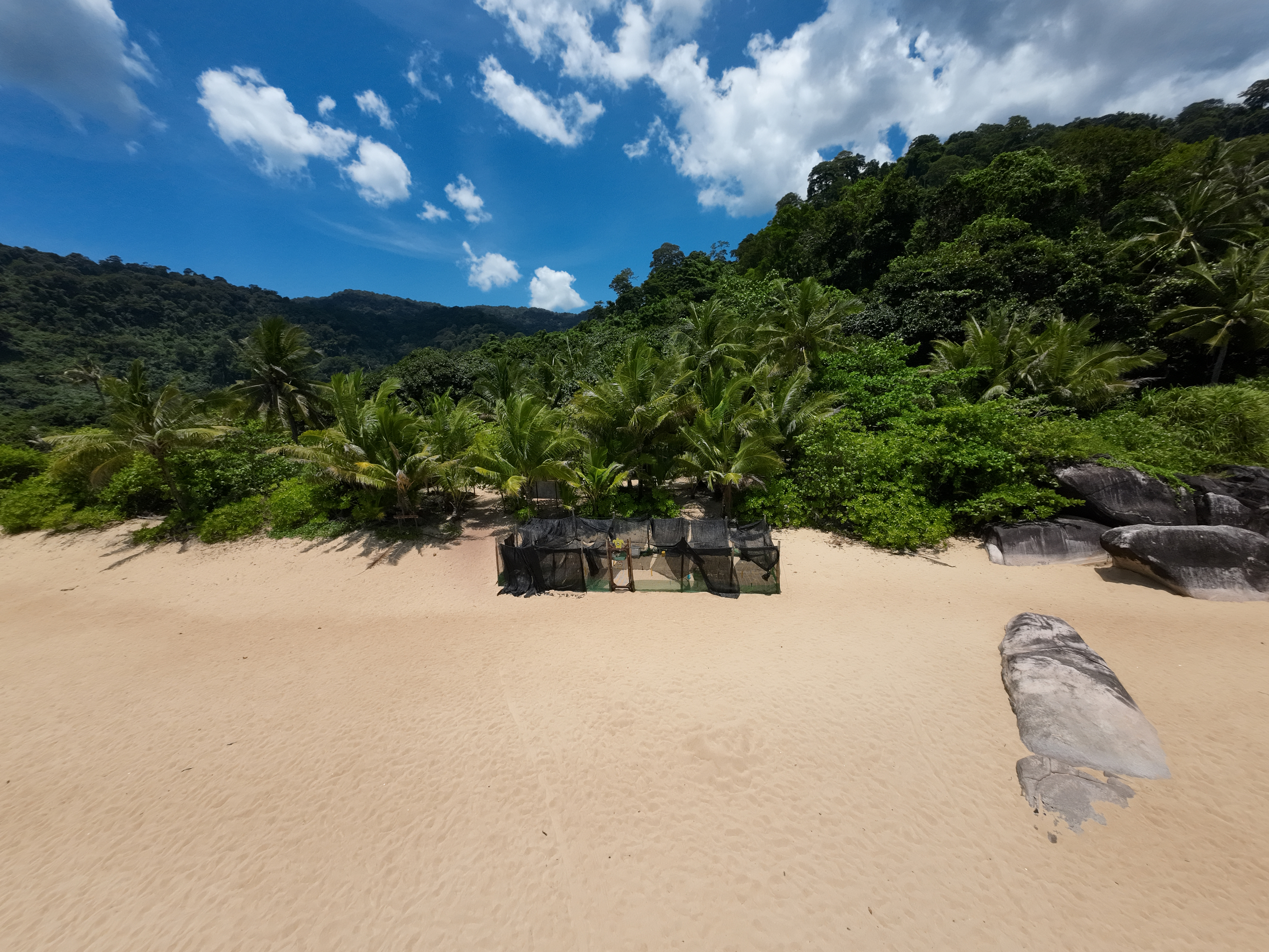 Malaysia Sea Turtle Conservation program, available via Intern Abroad HQ, beach location