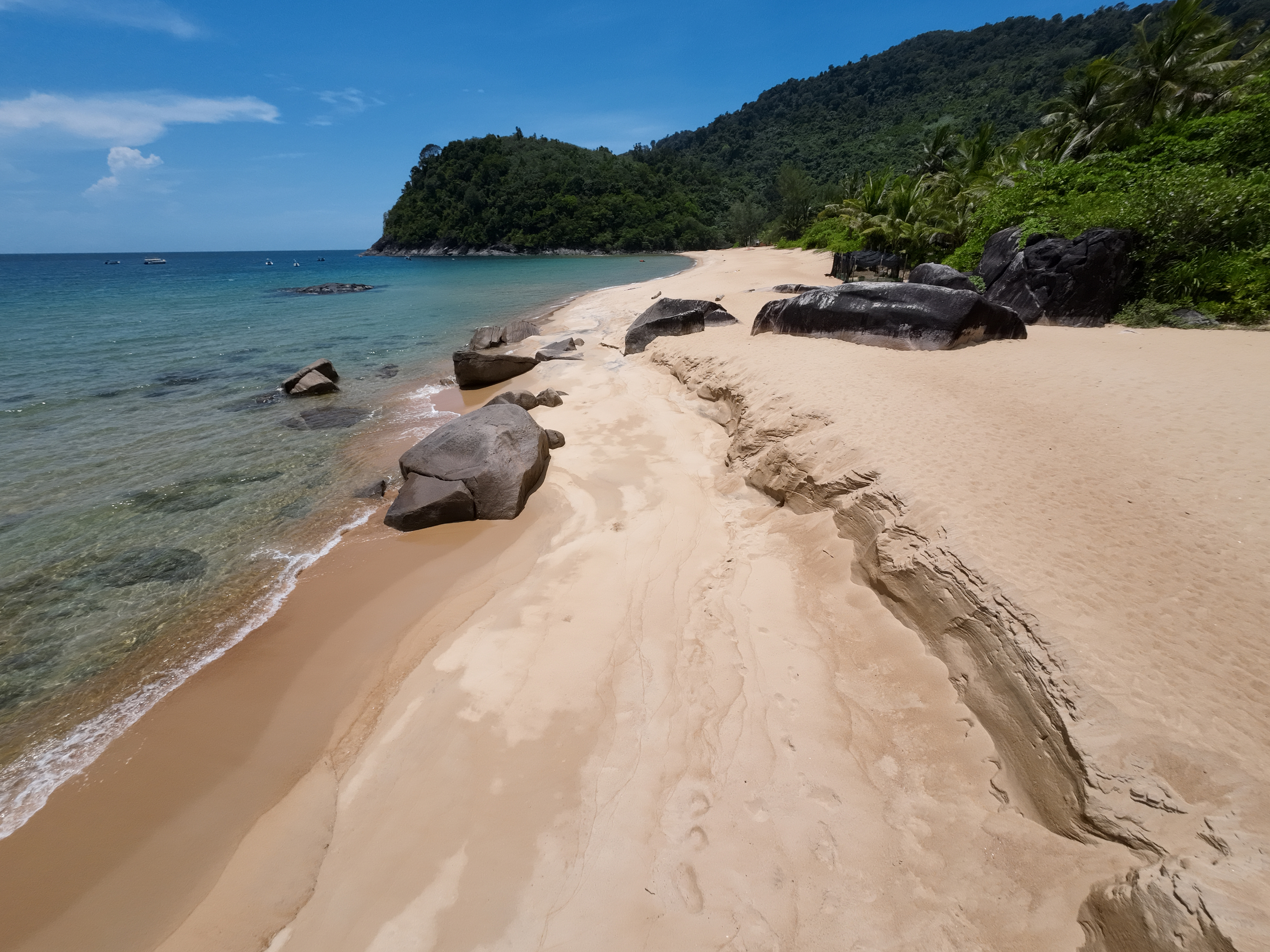Malaysia Sea Turtle Conservation program, available via Intern Abroad HQ, beach location