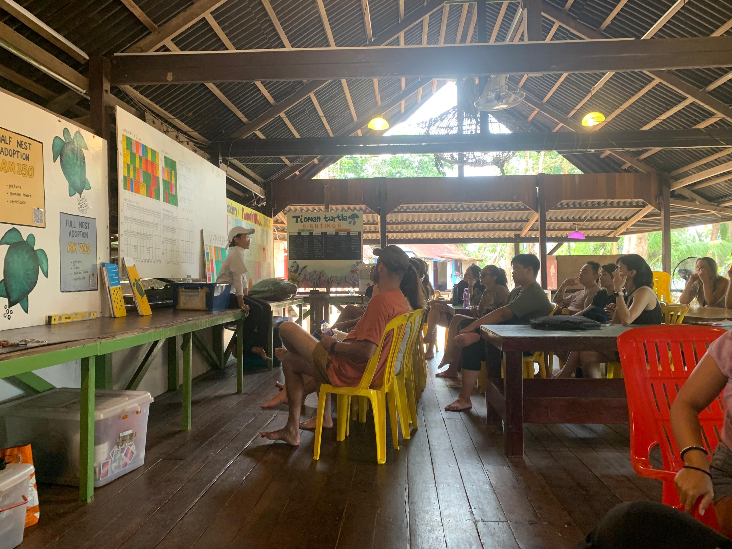 Malaysia Sea Turtle Conservation program, available via Intern Abroad HQ, conservation tour