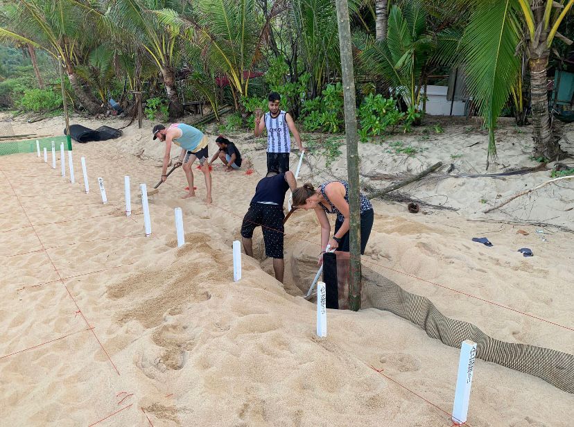 Malaysia Sea Turtle Conservation program, available via Intern Abroad HQ, sea turtle hatchery