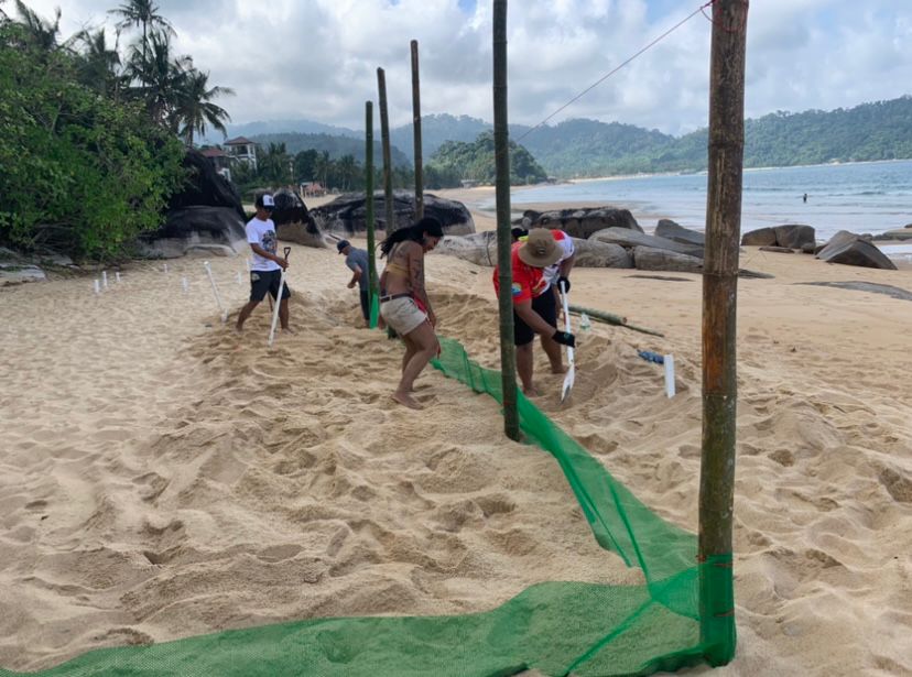 Malaysia Sea Turtle Conservation program, available via Intern Abroad HQ, hatchery work trench digging activities