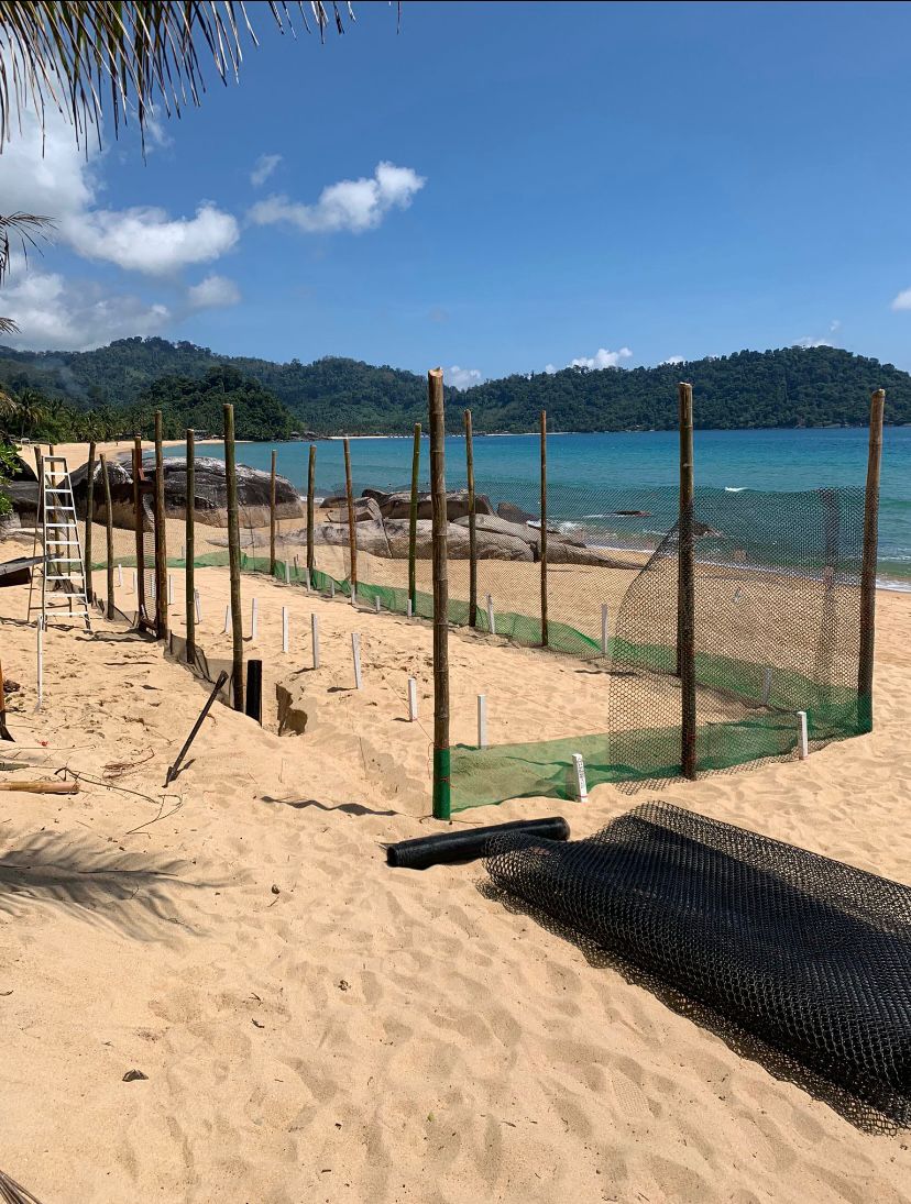 Malaysia Sea Turtle Conservation program, available via Intern Abroad HQ, sea turtle hatchery