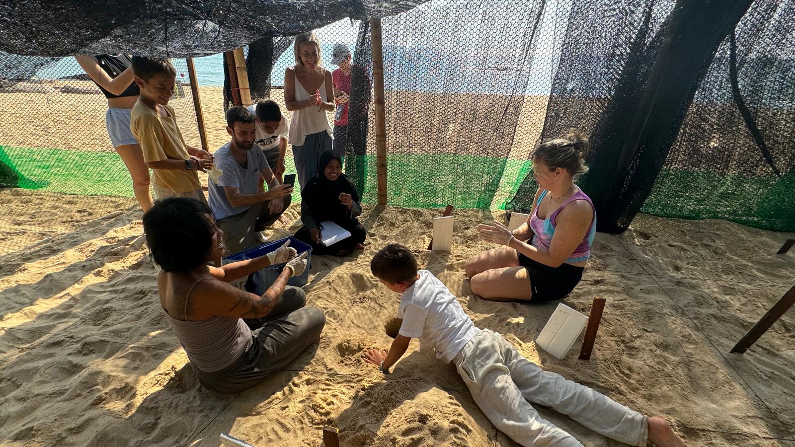 Malaysia Sea Turtle Conservation program, available via Intern Abroad HQ, relocations activities