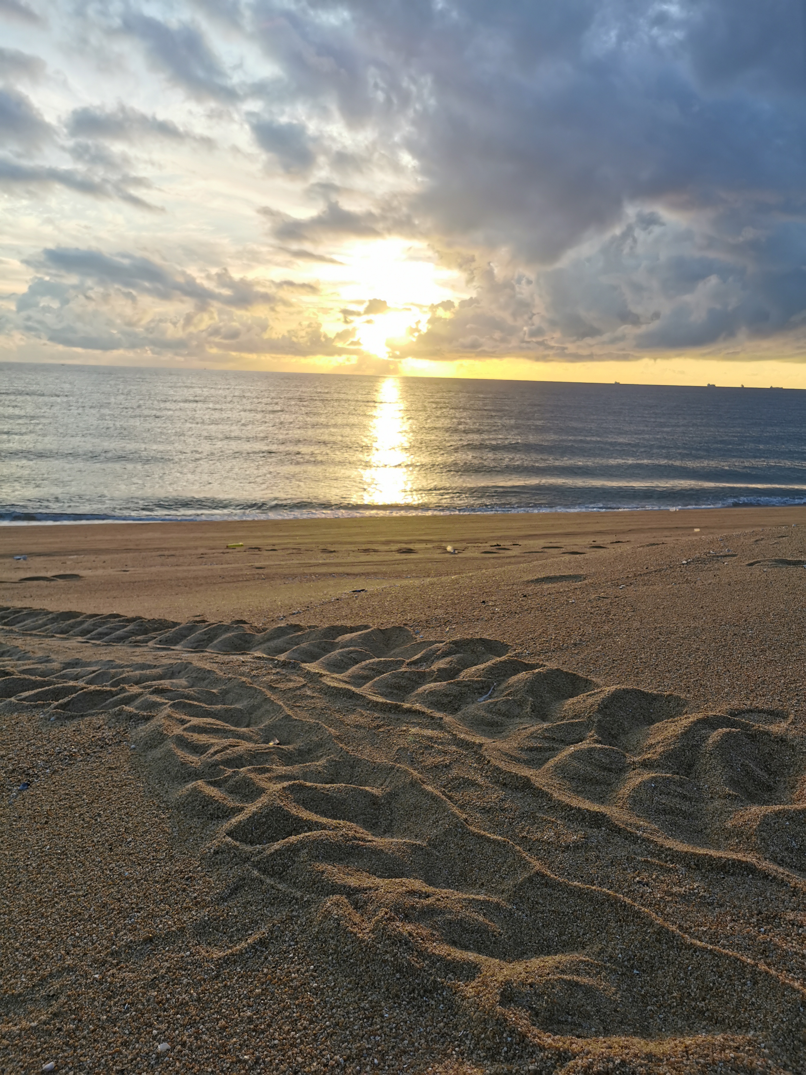 Sea Turtle Conservation and Marine Biology internship programs in Malaysia, available via Intern Abroad HQ