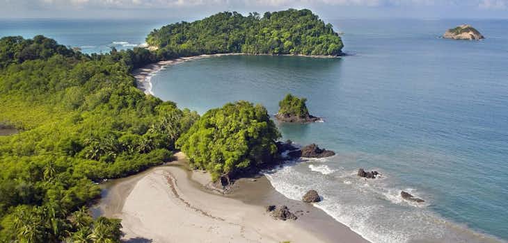 NGO Support for Marine Conservation Remote Internships out of Costa Rica