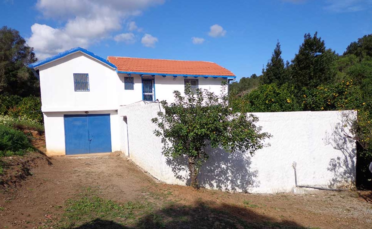 Traditional Rif-style house accommodation for Regenerative Conservation interns in Morocco