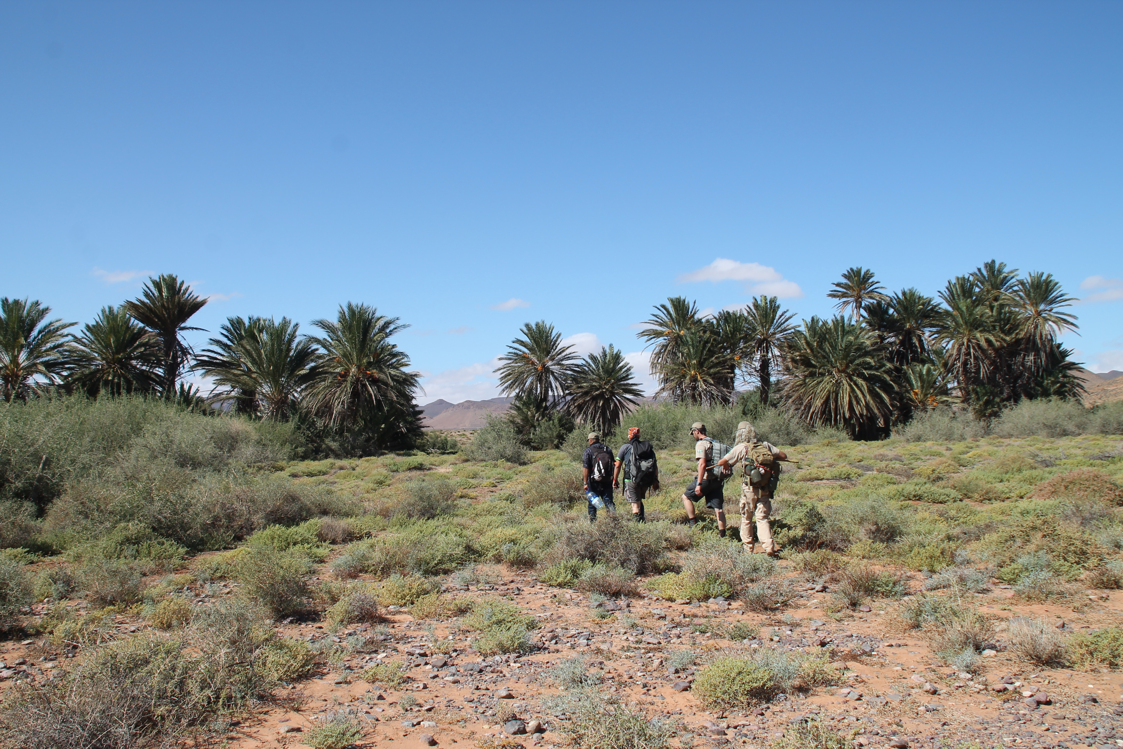 A mixed group of student interns in Morocco, during a fieldwork excursion
