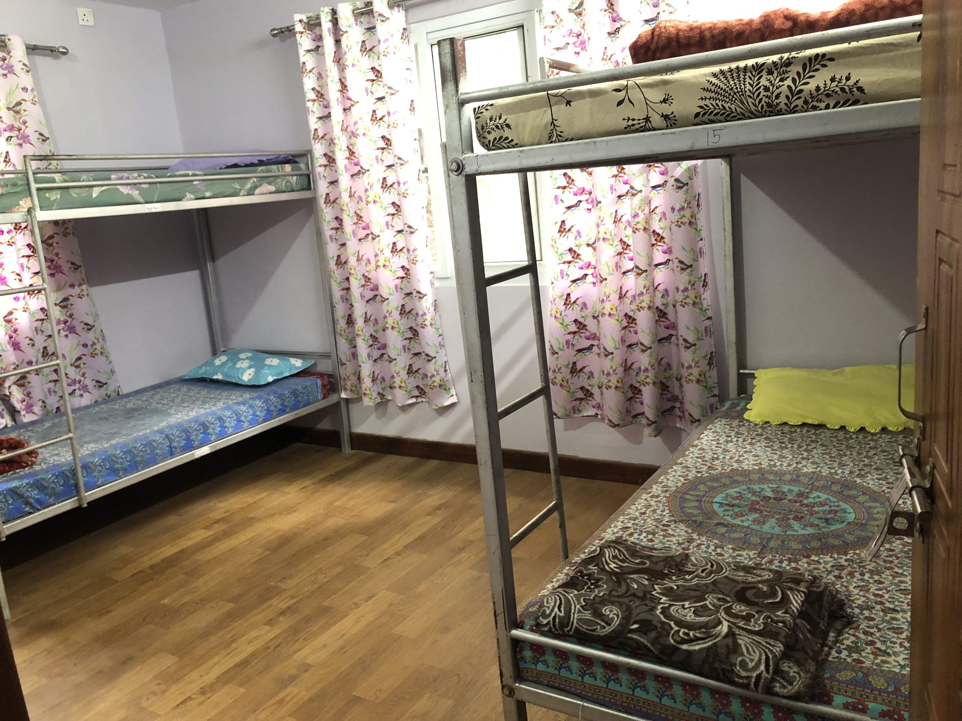 Intern Abroad in Kathmandu, Nepal - Intern Abroad packages, accommodation inclusive