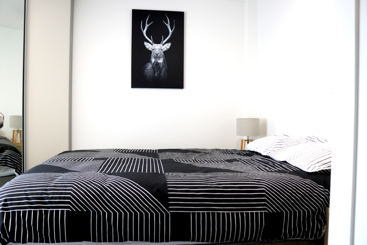 Example photographs for accommodation in Auckland - internships in New Zealand, Intern Abroad HQ