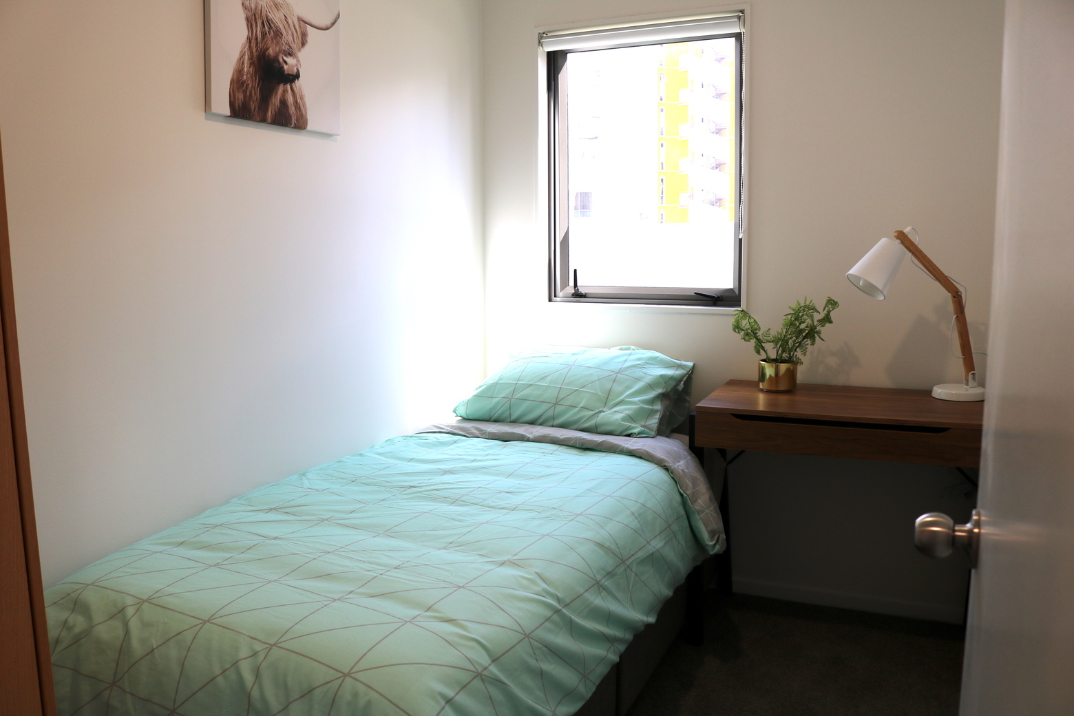 Example photographs for accommodation in Auckland - internships in New Zealand, Intern Abroad HQ