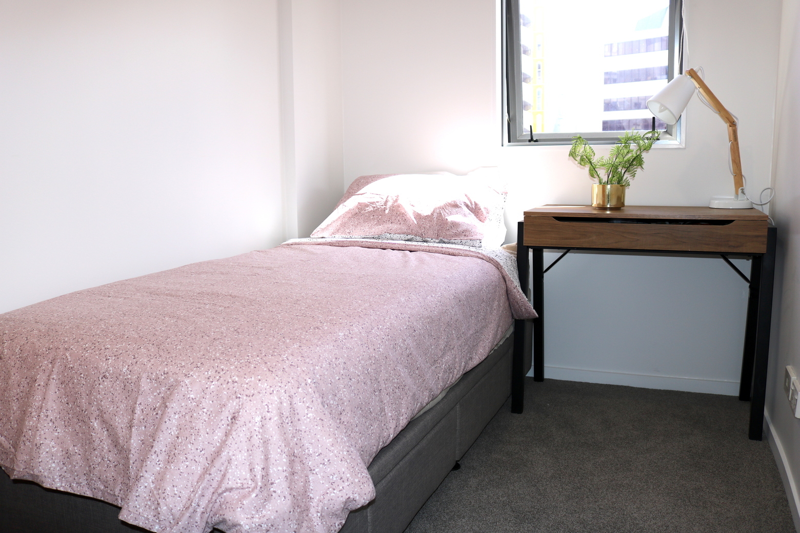 Example photographs for accommodation in Auckland - internships in New Zealand, Intern Abroad HQ