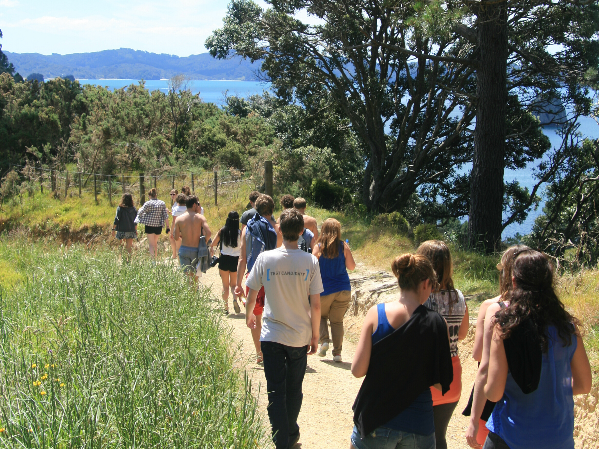 Interns on the Coromandel Peninsula in New Zealand