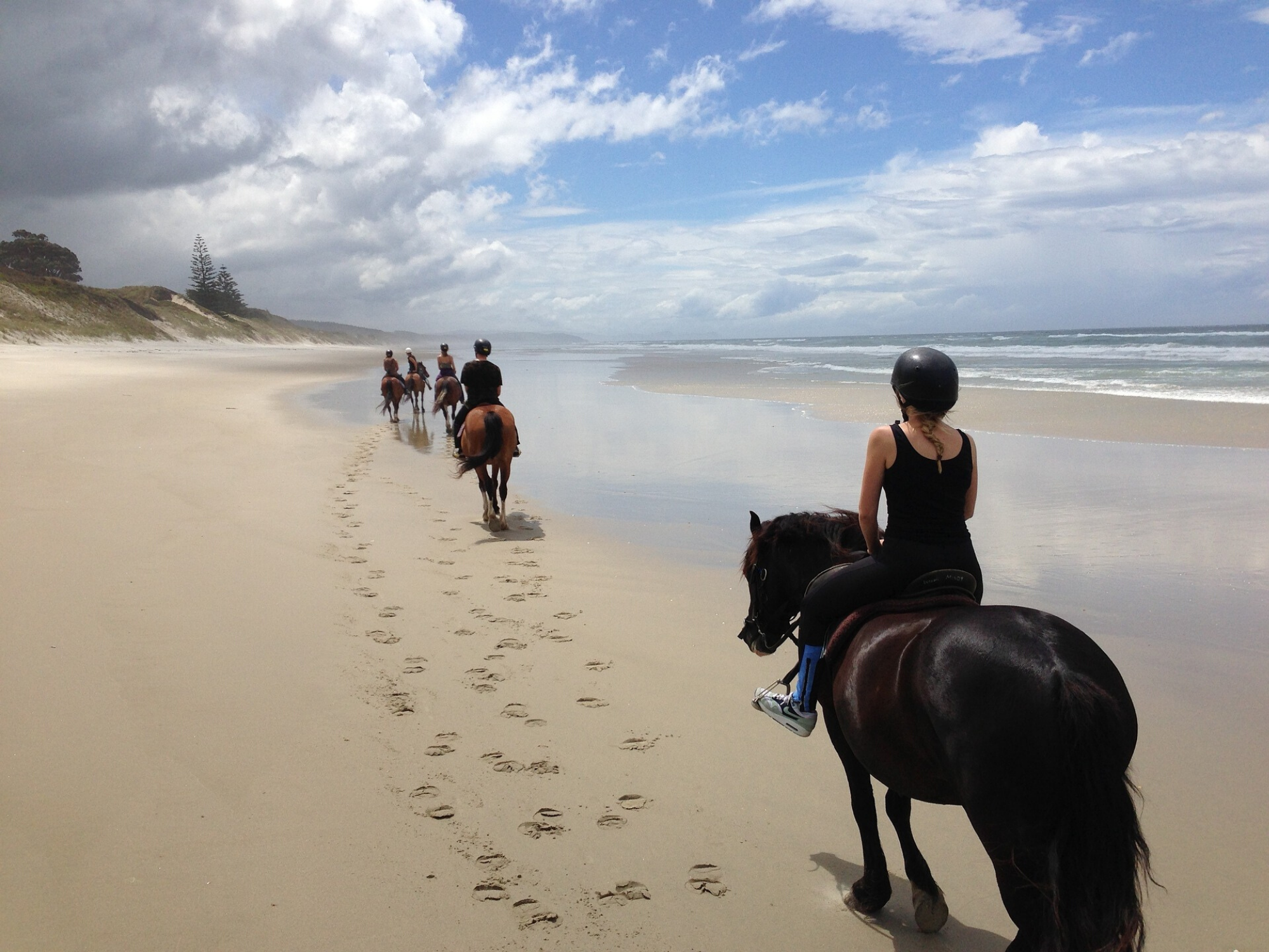 Horse riding in New Zealand