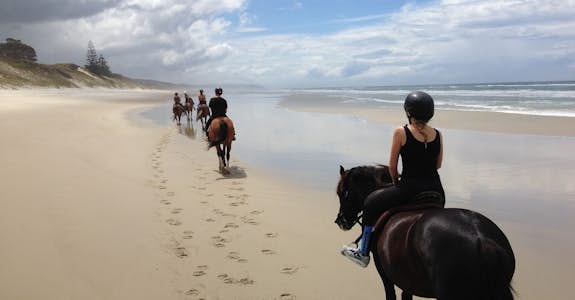 Horse riding in New Zealand
