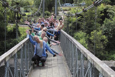Interns posing on a bridge in New Zealand