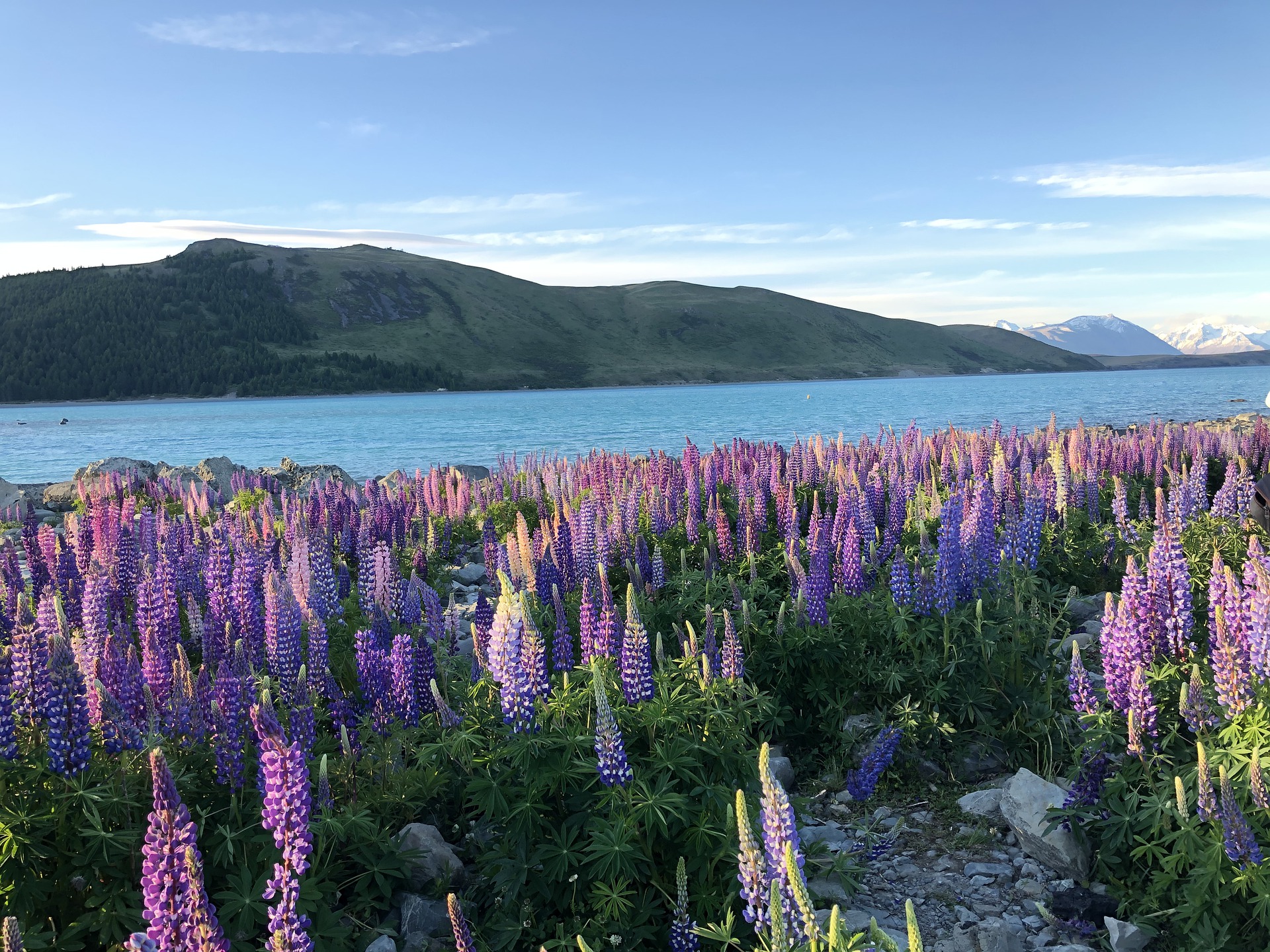 Intern abroad in New Zealand, Intern Abroad HQ