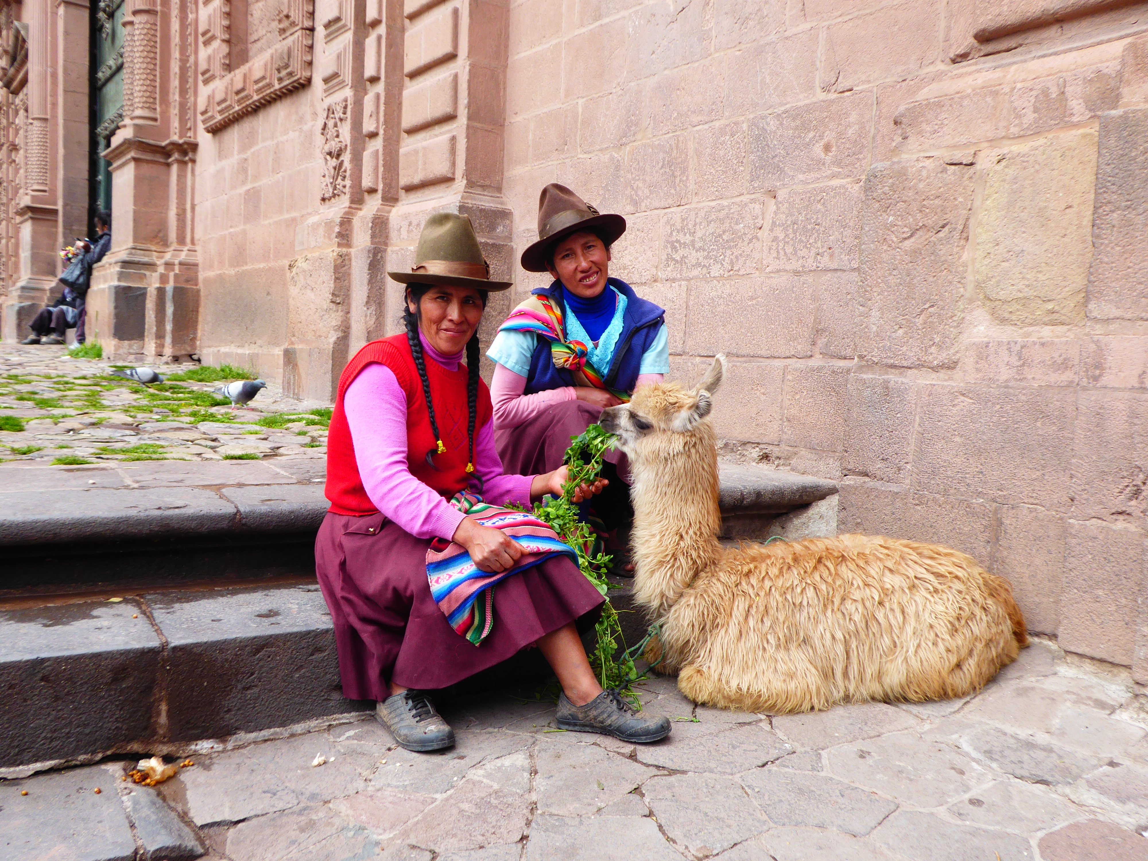 Indigenous women in Cusco pose with llama