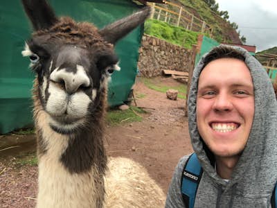 Intern poses with a cute llama in Peru