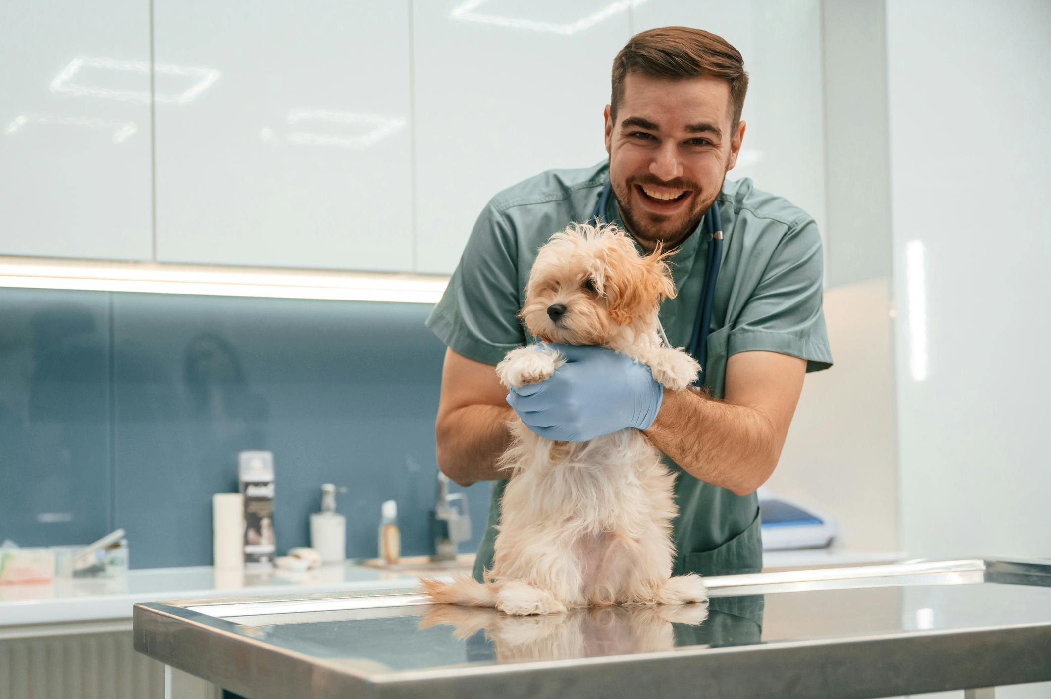 A vet poses with a cute dog inside a veterinary clinic