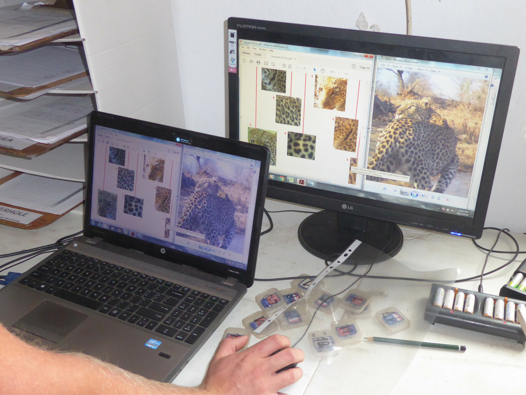 Reserve Management & Research at Kruger National Park - Intern Abroad HQ