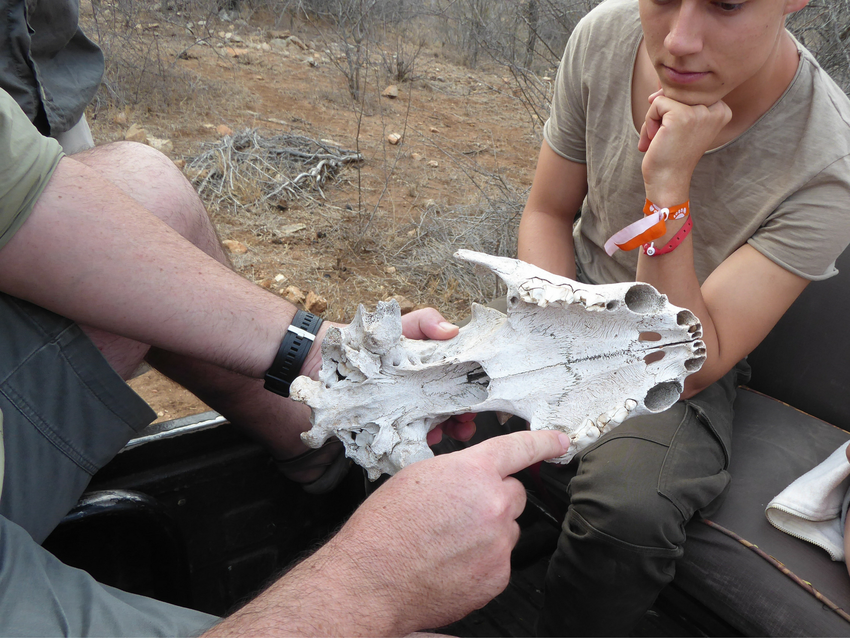 Reserve Management & Research at Kruger National Park - Intern Abroad HQ