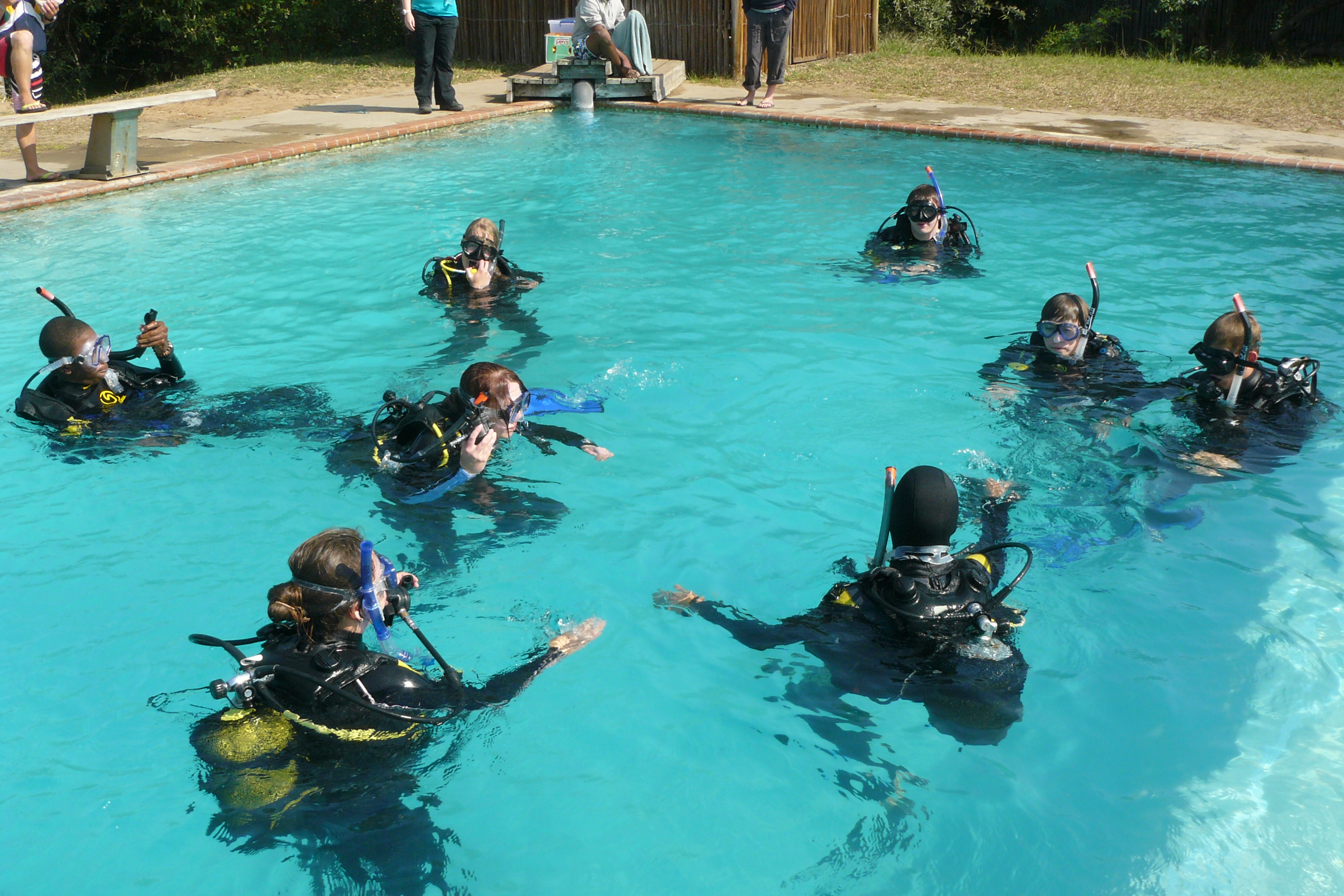 Marine Biology and Reef Conservation, dive training, South Africa, Intern Abroad HQ