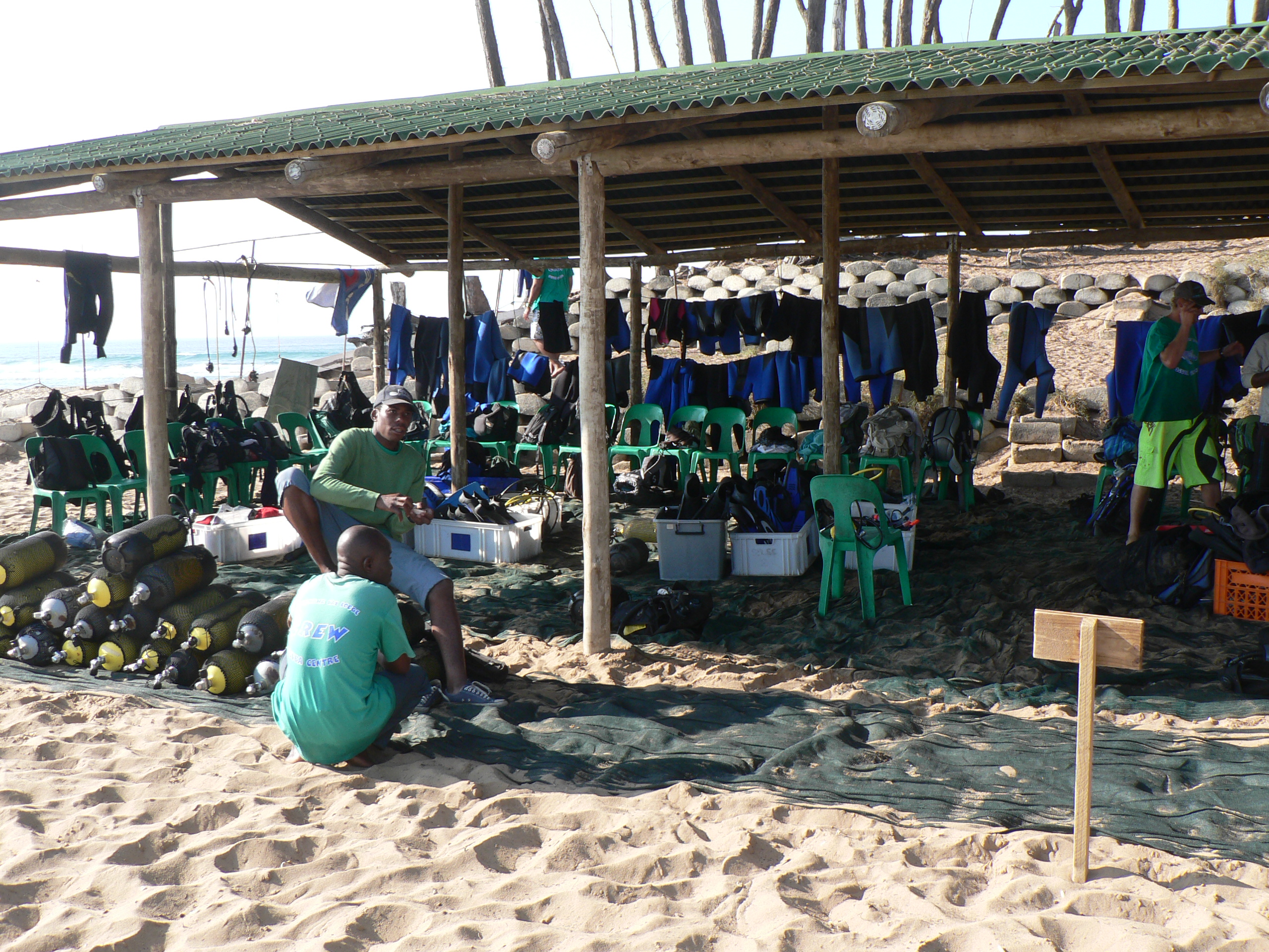 Scuba dive internship, Intern Abroad HQ, South Africa