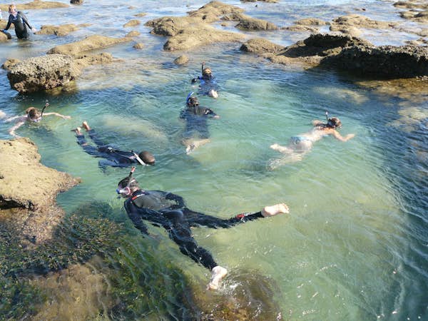 Snorkel in the rock pools, Marine Biology and Reef Conservation, Intern Abroad HQ