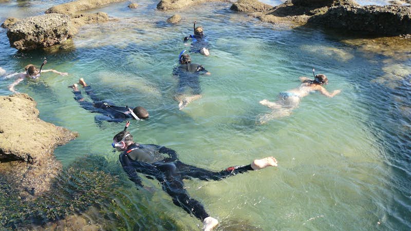 Snorkel in the rock pools, Marine Biology and Reef Conservation, Intern Abroad HQ