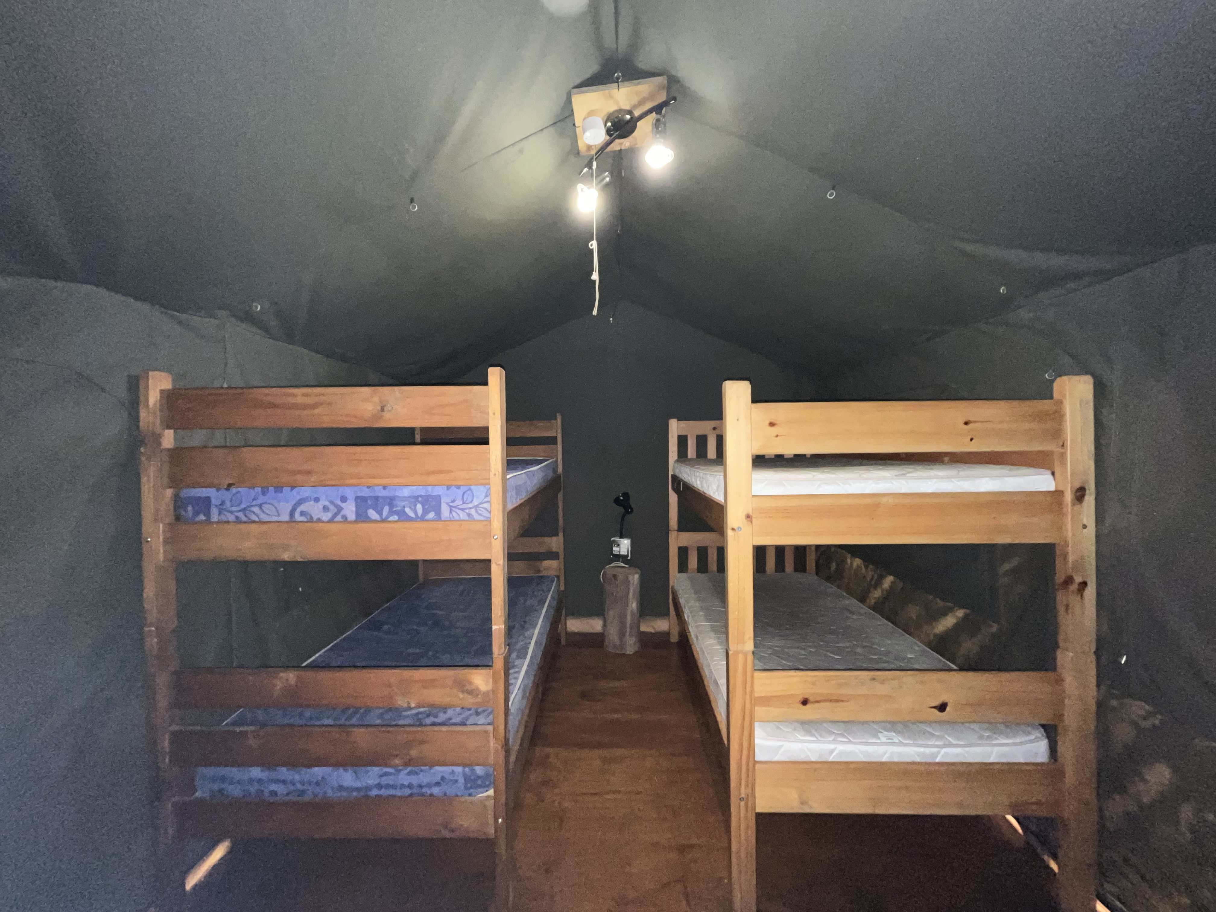 GIS Specialization internships for Environmental Conservation - South Africa, Intern Abroad HQ