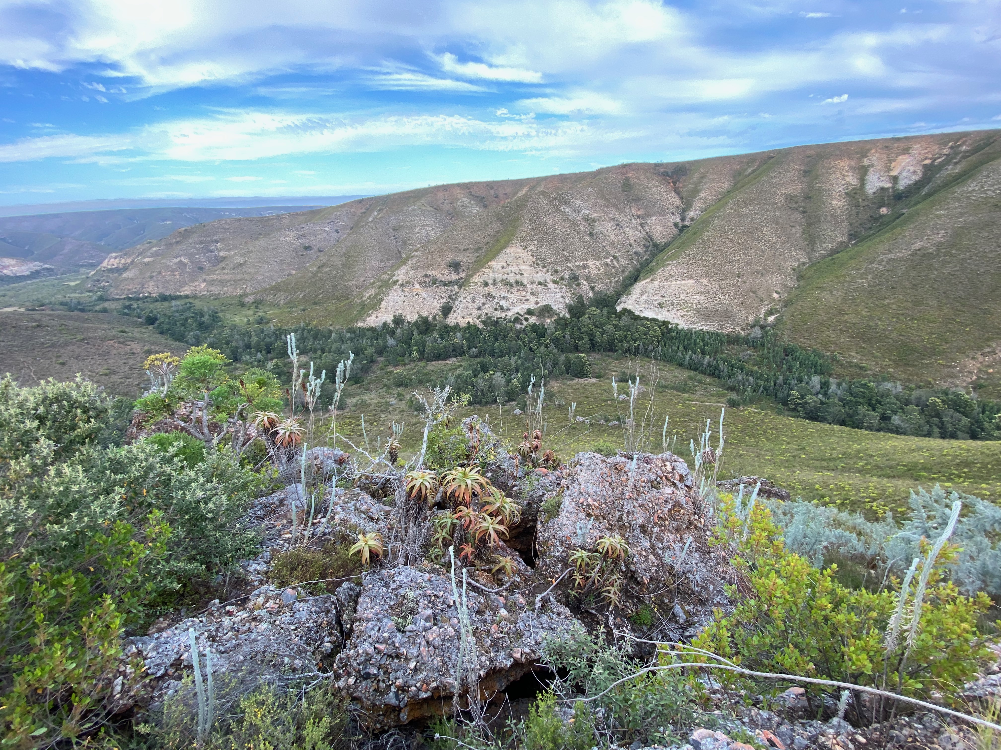 Gondwana Game Reserve in South Africa as part of the GIS Internship Abroad - Intern Abroad HQ