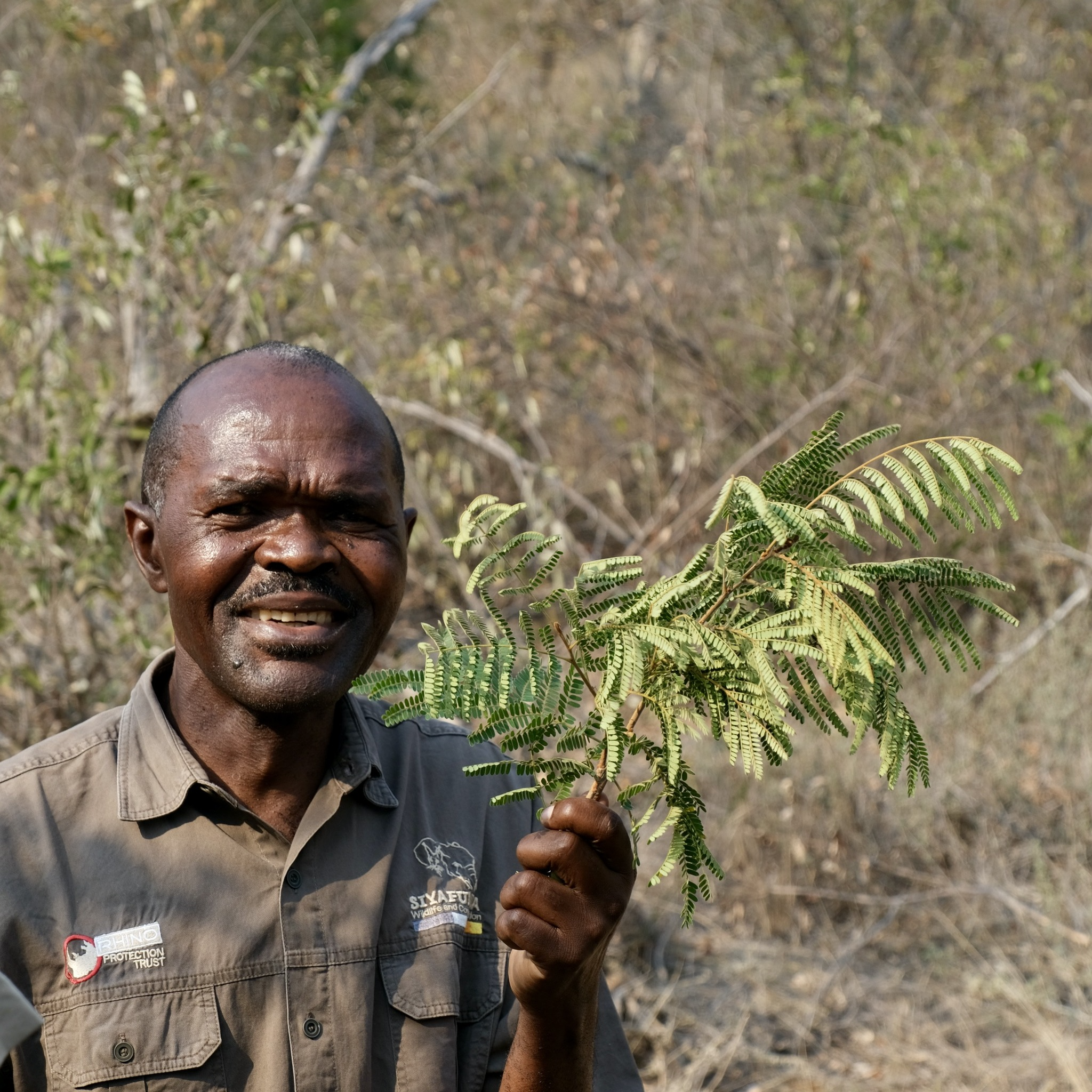 Reserve Management & Research at Kruger National Park - Intern Abroad HQ