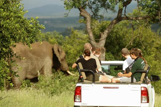 Internships at Balule Game Reserve at Kruger National Park