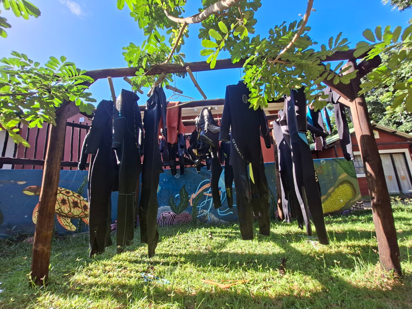 Outdoor view of the garden and swimming pool area for Marine Conservation internships, Sodwana Bay, South Africa